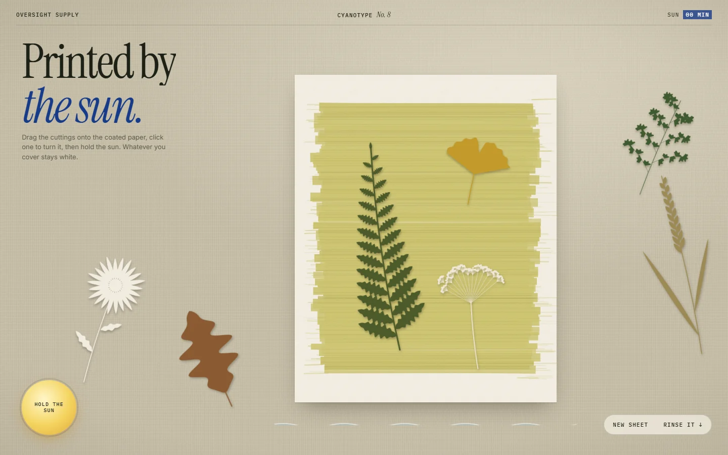 Cyanotype website section preview