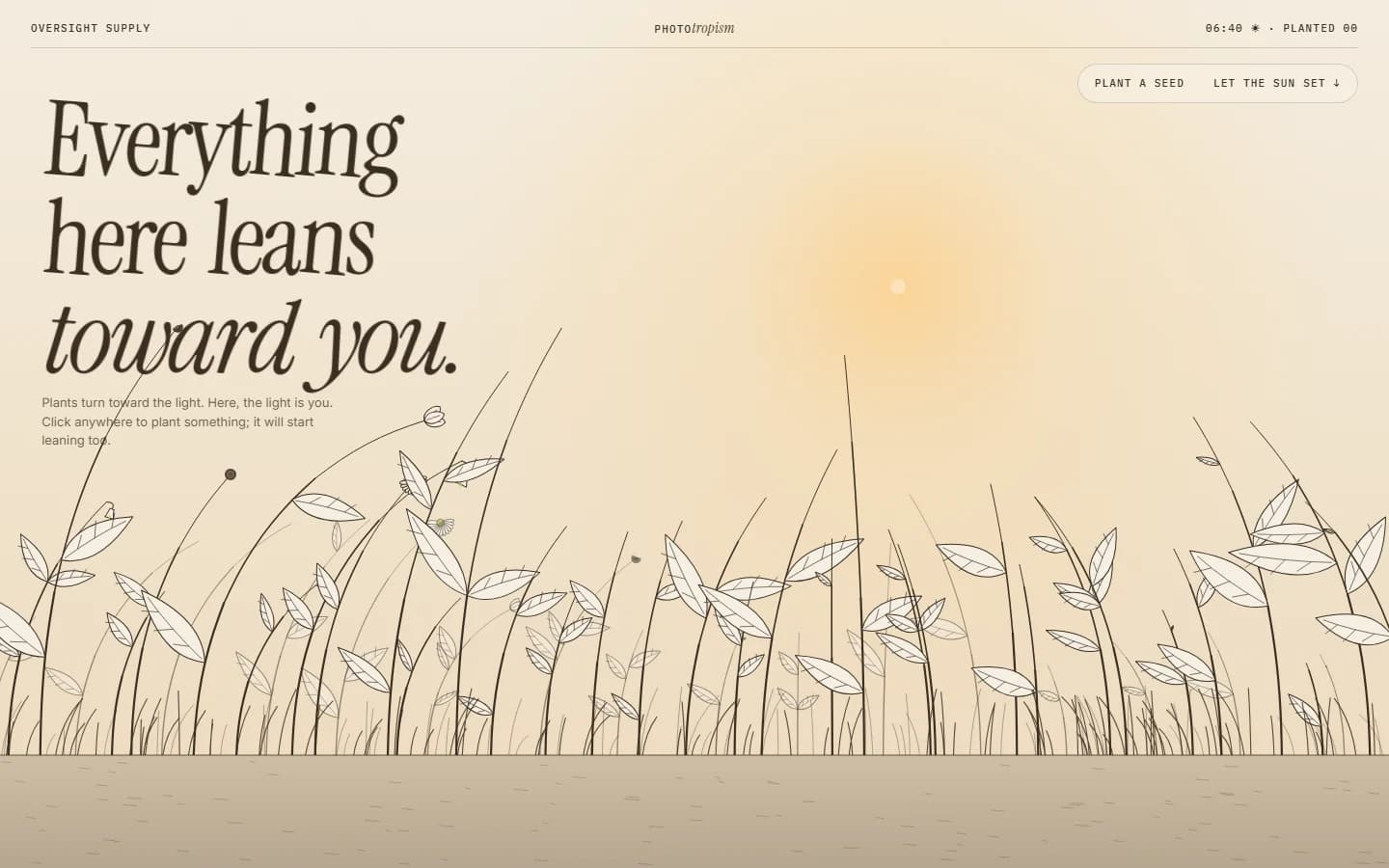 Phototropism section preview