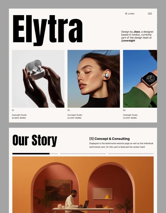 Elytra template preview